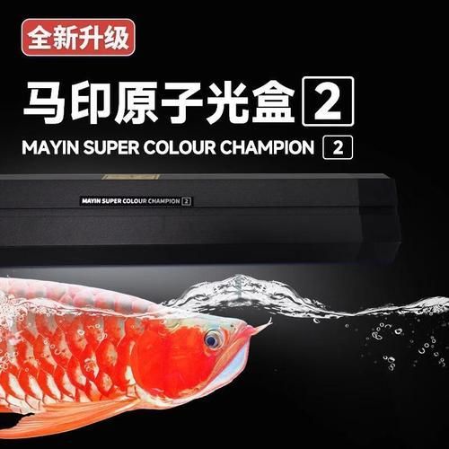 龍魚燈2700k有哪些品牌推薦？，2700k龍魚燈2700k龍魚燈選購對比