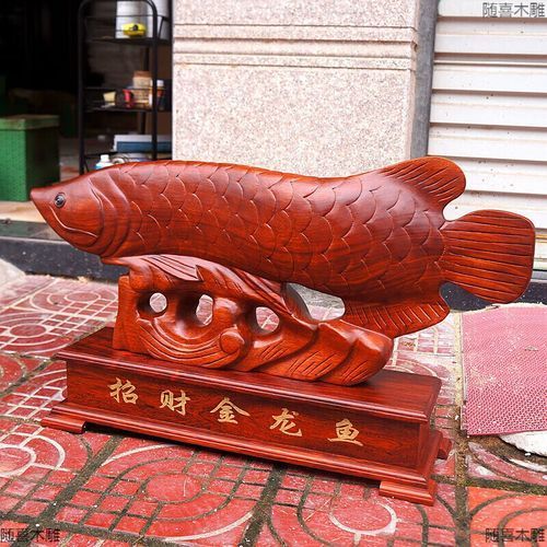 給我一些80公分金龍魚的圖片，80公分金龍魚,80公分金龍魚的飼養與選購指南