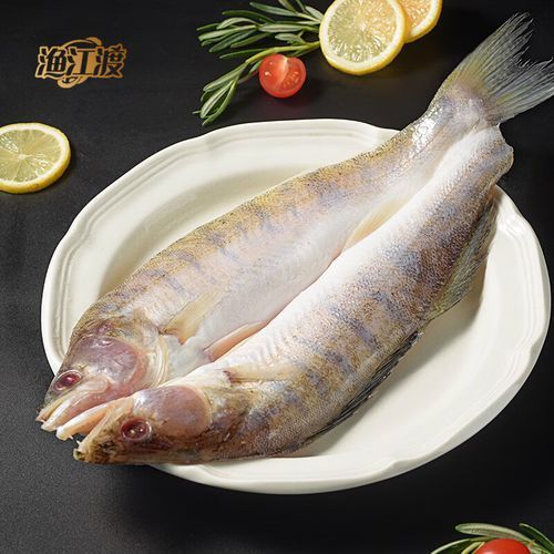 能否提供更多新疆雪龍魚的圖片，新疆雪龍魚的價格是多少？