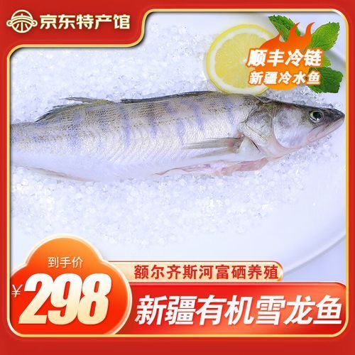 能否提供更多新疆雪龍魚的圖片，新疆雪龍魚的價格是多少？