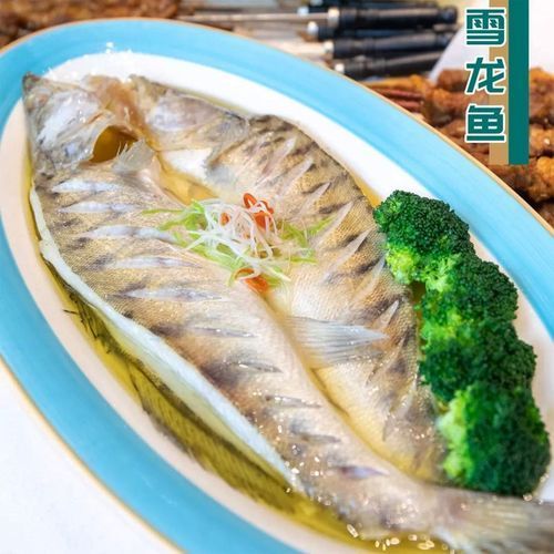 能否提供更多新疆雪龍魚的圖片，新疆雪龍魚的價格是多少？