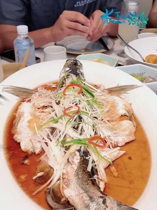 翹嘴魚的高端市場有哪些，丹江口翹嘴[需手動填充]——高端餐飲市場