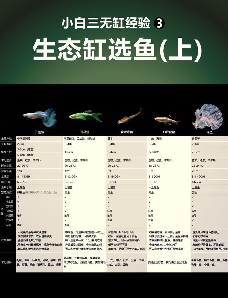 哪些觀賞魚適合軟水環(huán)境，新手入門軟水缸養(yǎng)殖技巧
