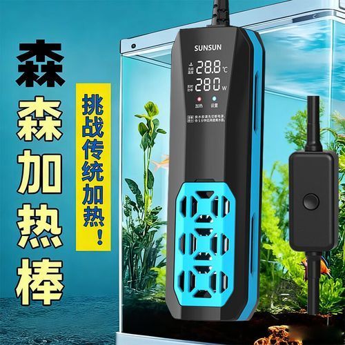 新華龍魚有哪些獨特的飼養技巧？，新華龍魚的飼養技術
