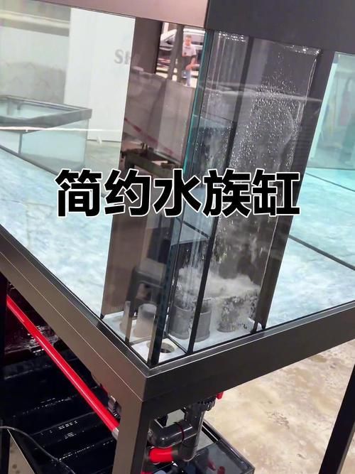 如何選擇適合的水鴨魚缸型號，如何選擇適合的水鴨魚缸型號？