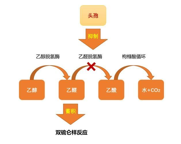 甲硝唑片正確使用方法是什么，甲硝唑片正確使用方法