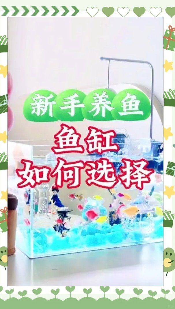 如何選擇適合金魚(yú)的魚(yú)缸，新手養(yǎng)魚(yú)必備:魚(yú)缸選擇全攻略