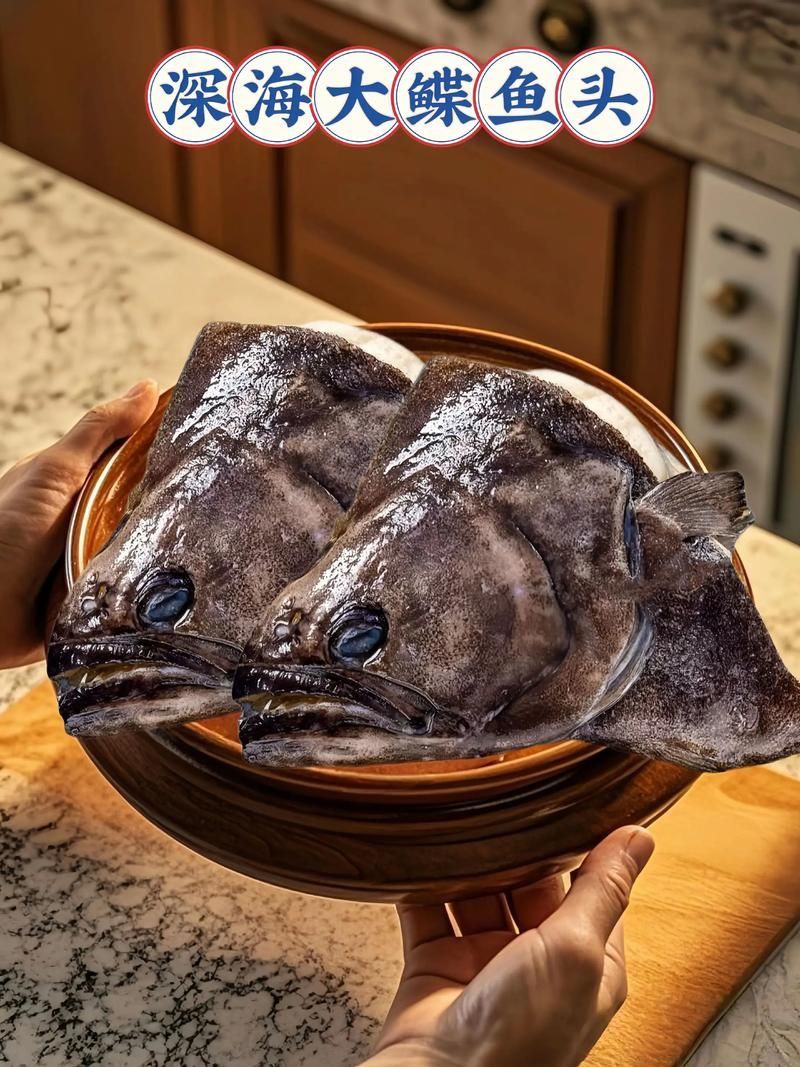 如何鑒別真假雪龍魚，“雪龍魚（lophiuspiscatorius）真假對比圖