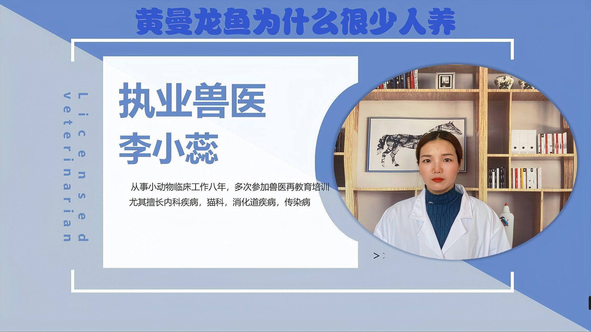 曼龍魚(yú)的飼養(yǎng)難度如何？，曼龍魚(yú)怎么養(yǎng)？