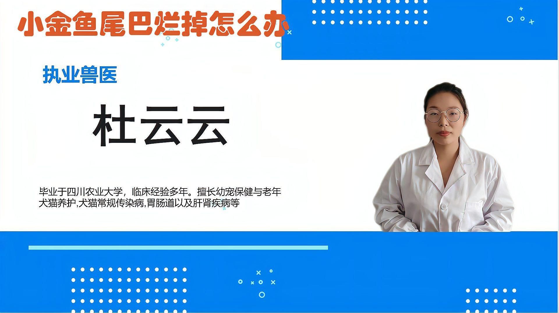 金魚爛尾怎么治療，金魚爛尾怎么辦