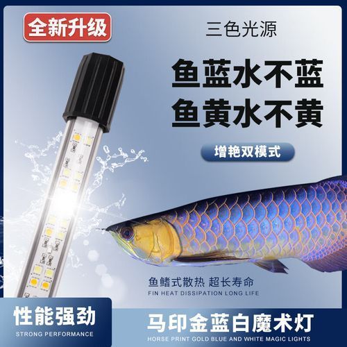 馬印龍魚燈有哪些型號可選，馬印龍魚燈型號對照表