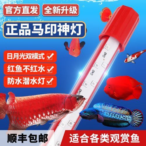 馬印龍魚燈有哪些型號可選，馬印龍魚燈型號對照表