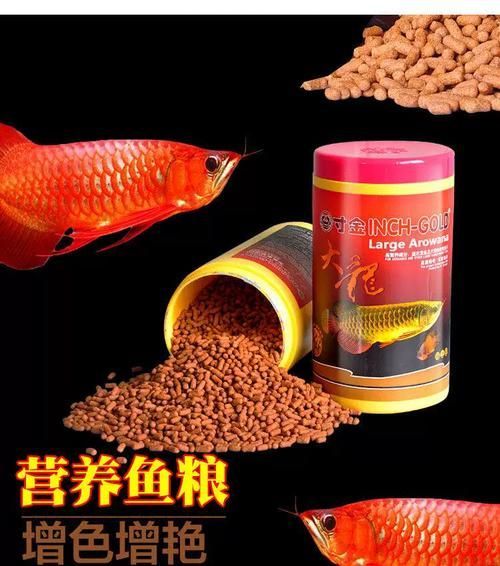 哪個品牌的龍魚餌料性價比最高，龍魚餌料性價比如何