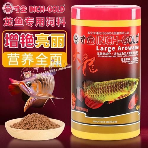 除了仟湖OFG2，還有哪些品牌的龍魚1號性價比高，佩尼森銀龍魚1號性價比高的龍魚1號性價比高的品牌