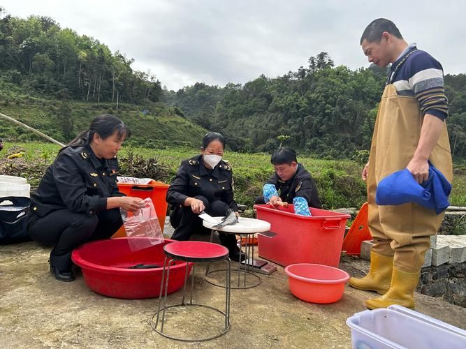 石獅龍魚中呋喃唑酮代謝物超標對健康有何影響，關于石獅龍魚養(yǎng)殖中呋喃唑酮代謝物超標的建議