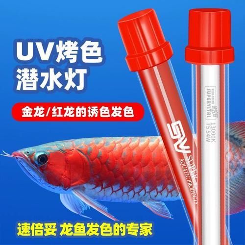 速倍妥霞光號適合哪些龍魚品種，速倍妥霞光號的選擇