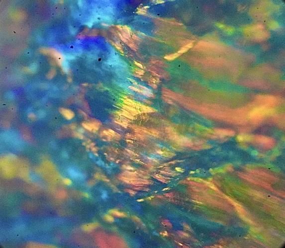 如何區分自然變異和人工染色，arxiv論文助手arxiv論文助手（arxiv論文助手）