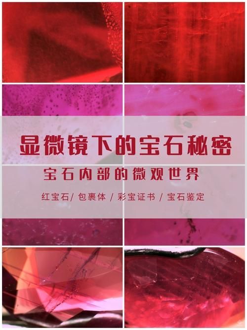 如何區分自然變異和人工染色，arxiv論文助手arxiv論文助手（arxiv論文助手）