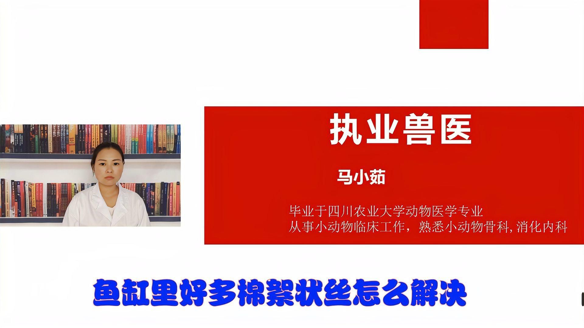 龍魚身上白色絮狀物能自行消失嗎，龍魚身上出現(xiàn)白色絮狀物能否自行消失龍魚水霉病應(yīng)急處理清單