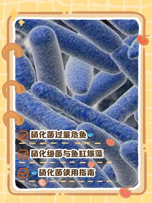 魚(yú)缸換水需要多長(zhǎng)時(shí)間恢復(fù)
