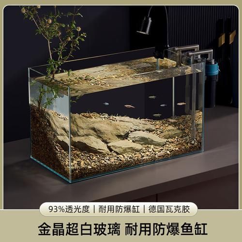 有哪些魚缸尺寸適合新手，60cm魚缸新手配置清單