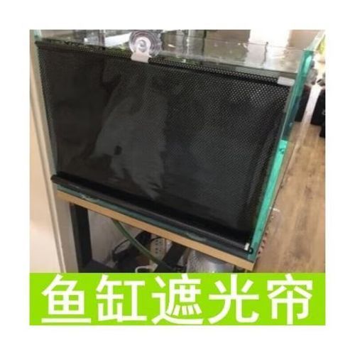 龍魚趴缸的6個原因及處理措施，龍魚趴缸的6個主要原因及處理措施，龍魚趴缸的6個原因及處理措施