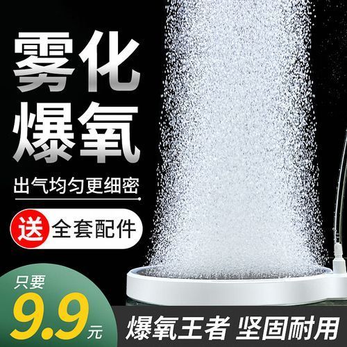 龍魚趴缸的6個原因及處理措施，龍魚趴缸的6個主要原因及處理措施，龍魚趴缸的6個原因及處理措施
