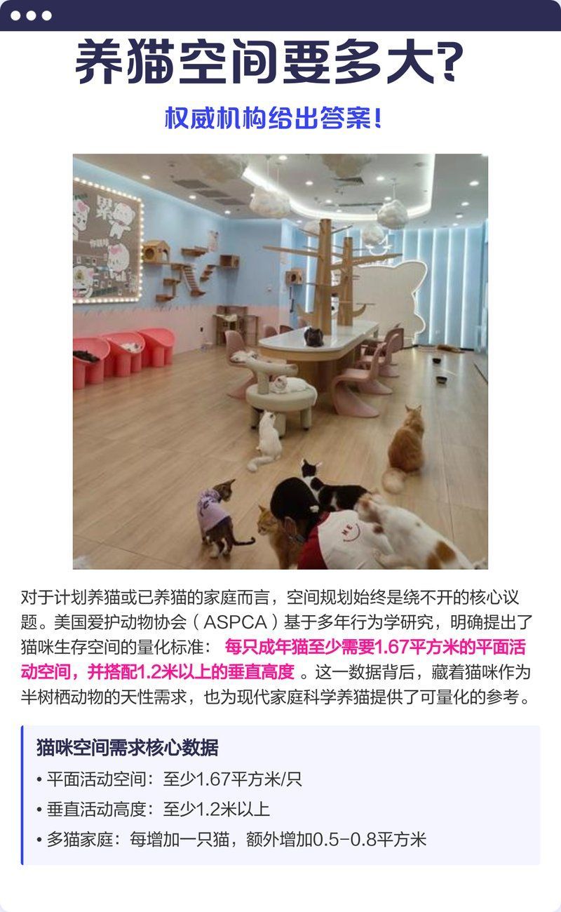 養(yǎng)魚和養(yǎng)貓哪個更需要空間