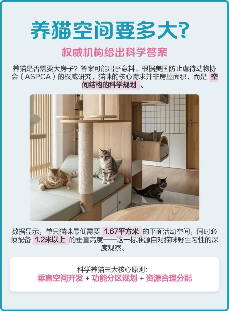 養(yǎng)魚和養(yǎng)貓哪個更需要空間