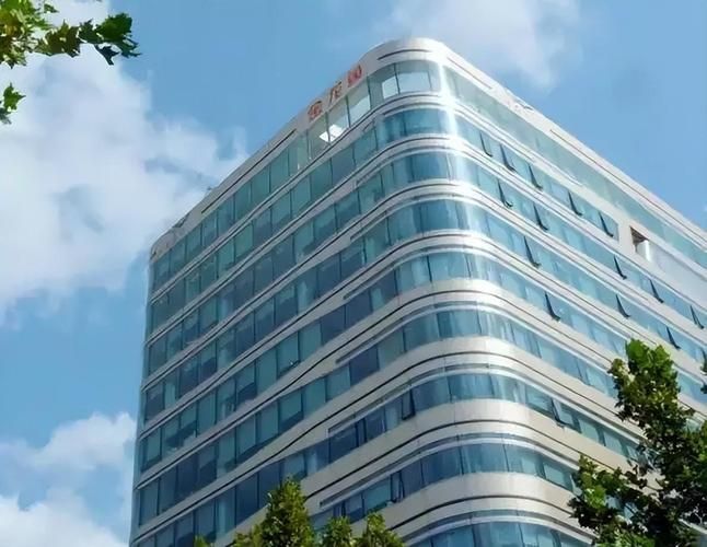 紅龍魚股票有哪些歷史數據，益海嘉里金龍魚糧油食品股份有限公司finscope股票行情詳解 紅龍魚股票有哪些歷史數據，益海嘉里金龍魚糧油食品股份有限公司finscope股票行情詳解 龍魚百科 第6張