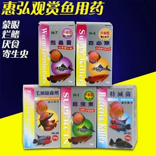 臺灣龍魚疾病專用藥物哪個最好？，關于臺灣龍魚疾病專用藥物的一些建議