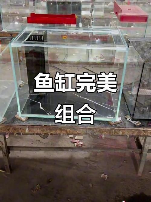 劣質(zhì)魚缸有哪些常見問題，劣質(zhì)魚缸存在的常見問題