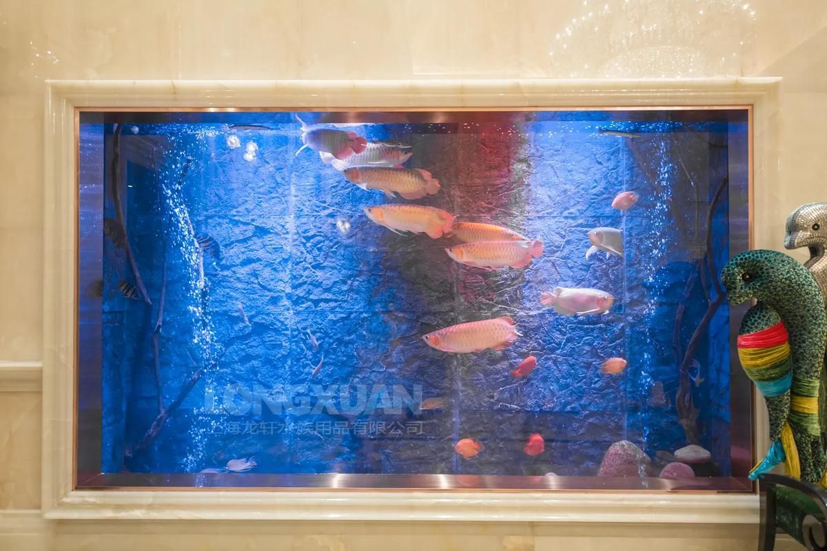 劣質(zhì)魚缸有哪些常見問題，劣質(zhì)魚缸存在的常見問題