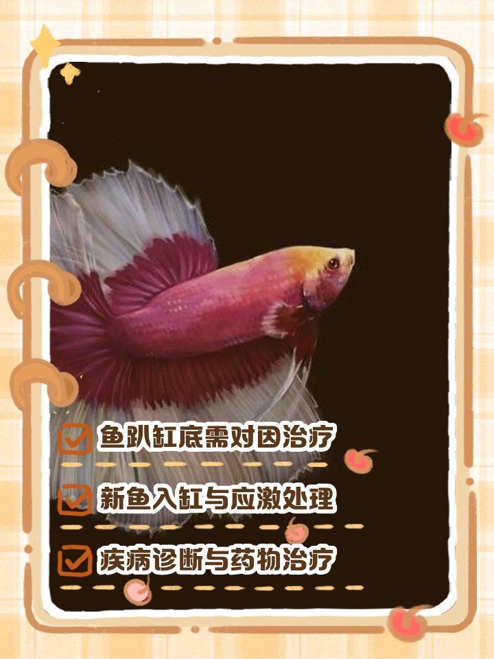 魚趴缸期間可以用藥嗎，新魚入缸趴缸老李教你正確應對“一滴藥救活一條魚”