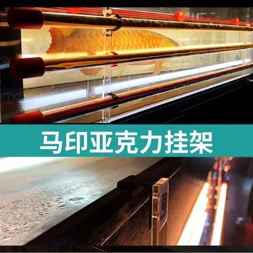 有哪些品牌龍魚(yú)燈值得推薦？，龍魚(yú)燈品牌龍魚(yú)燈選購(gòu)對(duì)比推薦：**beldon龍魚(yú)燈
