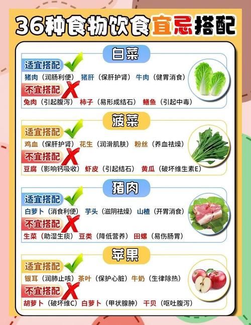能否提供更詳細的食物配圖，專業級食物配圖