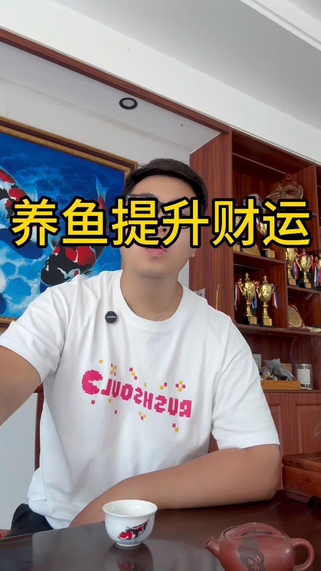 什么魚招財鎮宅又好養，風水學中養什么魚最招財？