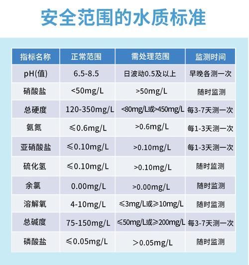 如何預(yù)防魚爛尾感染，如何預(yù)防魚爛尾