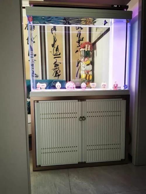 森森龍魚缸的用戶評價如何？，森森龍魚缸怎么樣