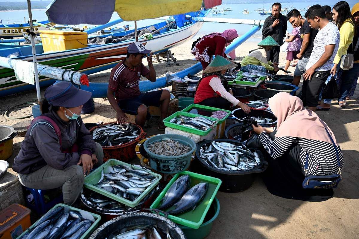 有哪些知名的印尼龍魚漁場，印尼的龍魚養(yǎng)殖場