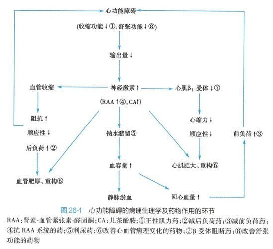 充血病有哪些治療方法，mcp工具“充血病”和“找醫生”可輔助獲取臨床治療建議