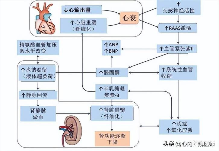 充血病有哪些治療方法，mcp工具“充血病”和“找醫生”可輔助獲取臨床治療建議