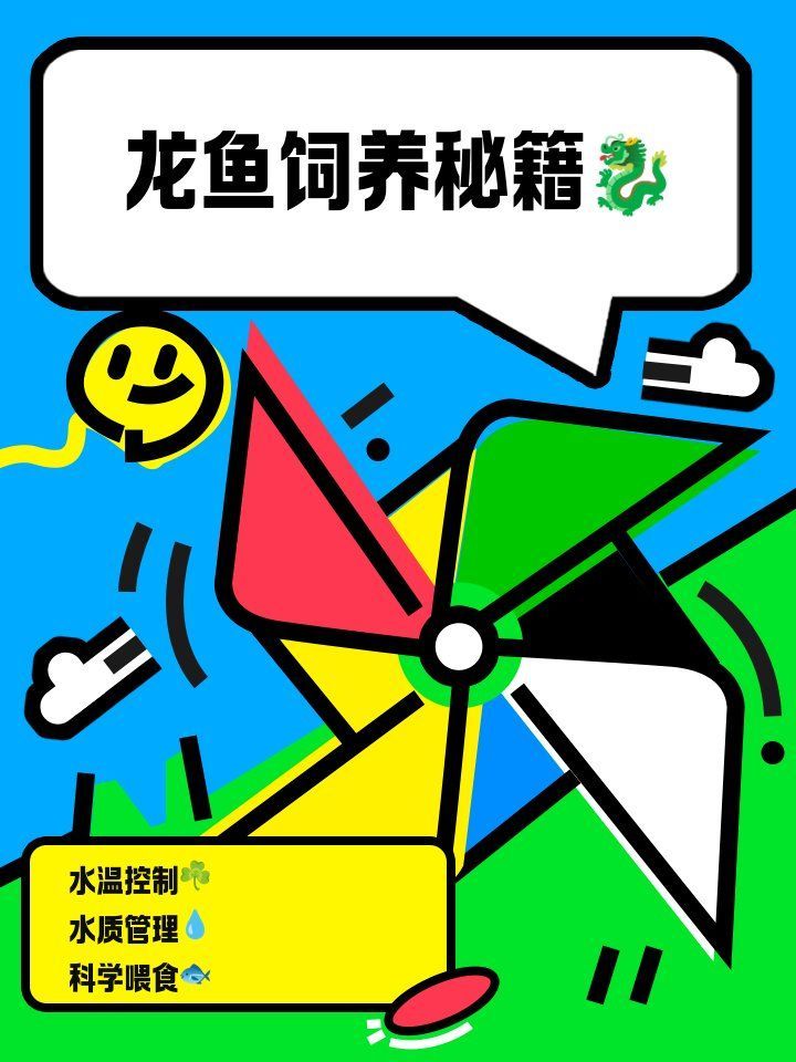 能否提供濠江龍魚養(yǎng)殖的詳細(xì)步驟，濠江龍魚養(yǎng)殖有哪些特色技術(shù)？