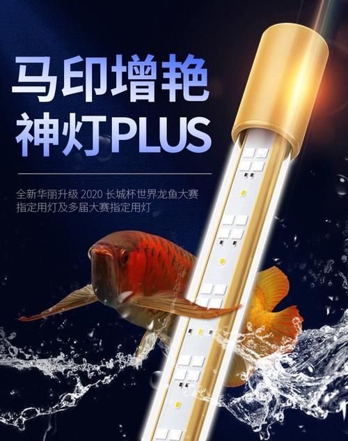 有哪些品牌推薦龍魚2700K燈，龍魚2700k燈具品牌推薦，馬印和仟魚2700k燈