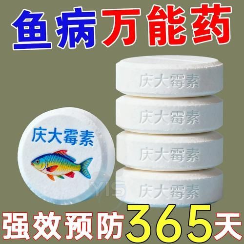 有哪些藥物可以有效治療龍魚趴缸？，1000字和配圖有哪些藥物可以有效治療龍魚趴缸