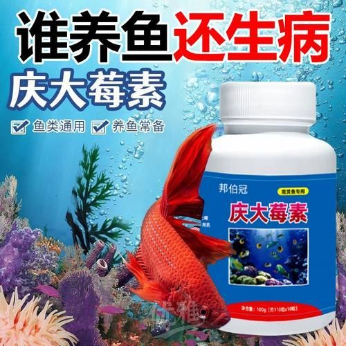 有哪些藥物可以有效治療龍魚趴缸？，1000字和配圖有哪些藥物可以有效治療龍魚趴缸