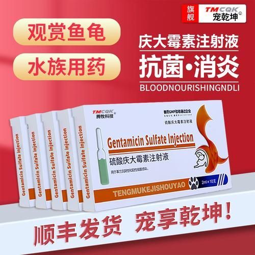 有哪些藥物可以有效治療龍魚趴缸？，1000字和配圖有哪些藥物可以有效治療龍魚趴缸