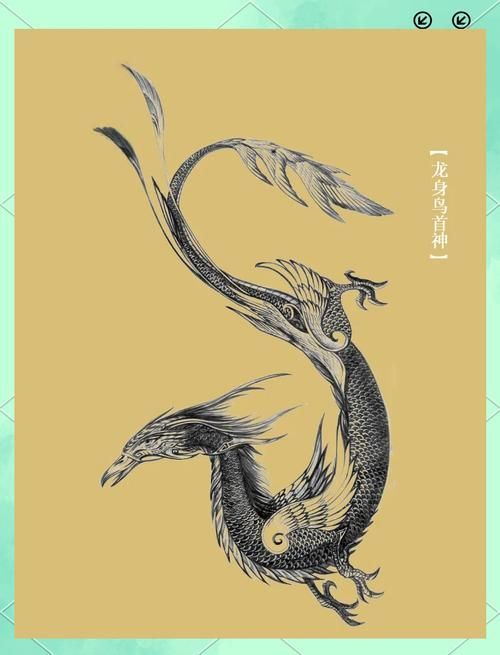 給我推薦一些高清的龍魚壁紙，高清龍魚壁紙推薦 給我推薦一些高清的龍魚壁紙，高清龍魚壁紙推薦 龍魚百科 第20張