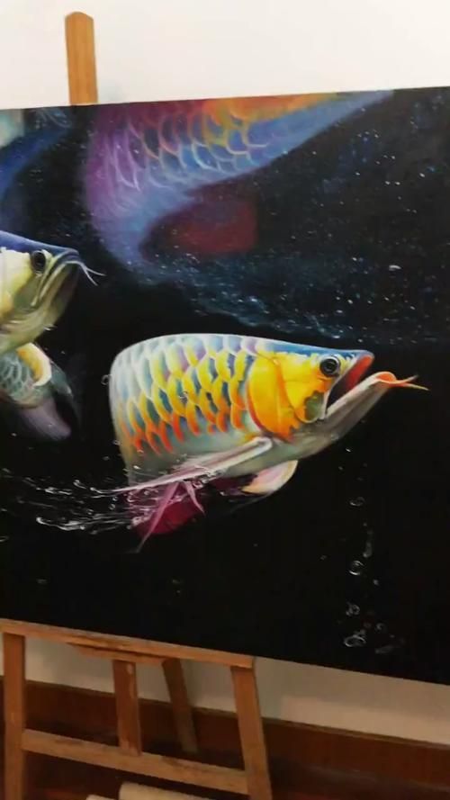 給我推薦一些高清的龍魚壁紙，高清龍魚壁紙推薦 給我推薦一些高清的龍魚壁紙，高清龍魚壁紙推薦 龍魚百科 第12張