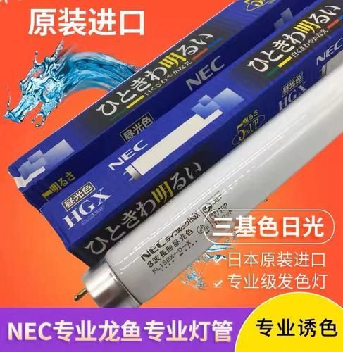 紅龍魚用什么品牌燈管，紅龍魚光照分階段攻略|養(yǎng)出好狀態(tài)